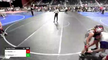 52 lbs Quarterfinal - Jordy Smart, Ravage vs Brooklyn Espinoza, Patriot Wrestling