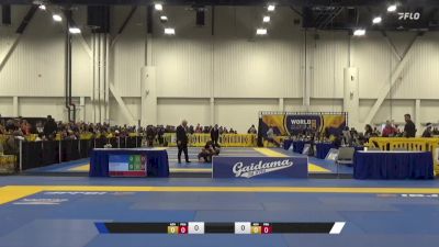 Yigit Hanay vs AJ Agazarm 2024 World IBJJF Jiu-Jitsu No-Gi Championship