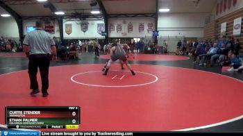 195 lbs Round 2 - Curtis Stender, Washington vs Ethan Palmer, Columbus Community/WMU