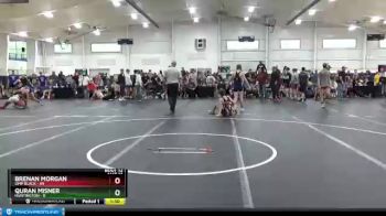 195 lbs Round 3 (6 Team) - Bryce Wheatley, Ohio Titan vs Chris Cook, Phoenix