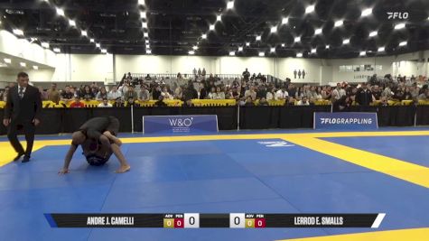 Lerrod E. Smalls vs Andre J. Camelli 2025 World IBJJF Jiu-Jitsu No-Gi Championship