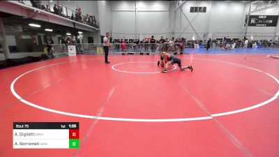 125 lbs Round Of 16 - Alex Giglietti, Brevard Fca vs Anthony Borrometi, Saint Peters Prep Hs