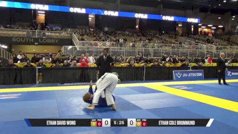 Ethan Cole Brummund vs Ethan David Wong 2025 Pan Jiu Jitsu IBJJF Championship