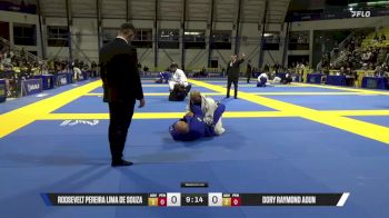 Dory Aoun vs Roosevelt Souza | 2025 World Jiu-Jitsu IBJJF Championship