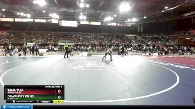 170 lbs Cons. Round 4 - Tama Tuia, Hermiston HS vs Dawandey Dilus, Blackfoot