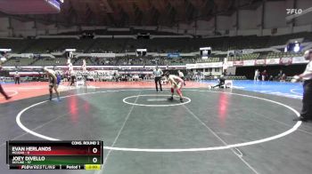 175 lbs Semis & Wb (16 Team) - Evan Herlands, Mclean vs Joey DiVello, Skyline