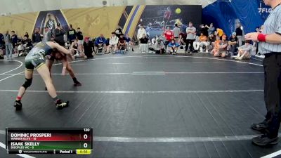 120 lbs Round 4 (8 Team) - Dominic Prosperi, Warner Elite vs Isaak Skelly, Disciples WC