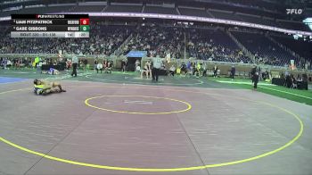 D1-138 lbs Cons. Round 3 - Gabe Gibbons, Wyandotte Roosevelt vs Liam Fitzpatrick, Rockford HS