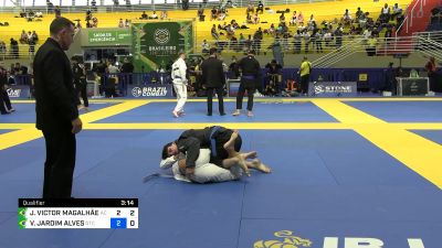 JOÃO VICTOR MAGALHÃES CUNTO vs VINICIUS JARDIM ALVES 2024 ...