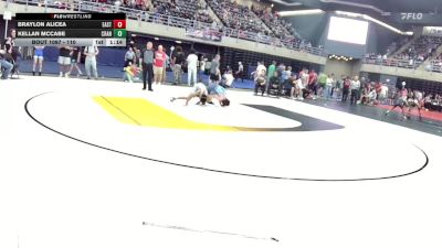 110 lbs Quarterfinal - Braylon Alicea, East Stroudsburg vs Kellan McCabe, Cranford