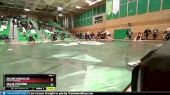 285 lbs Quarterfinal - Jacob Norcross, Bishop Gorman vs Kelze Howard, Spring Valley