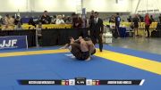 Andrew Kang-Ming Lo vs Hector Luis Mercado Jr 2025 World IBJJF Jiu-Jitsu No-Gi Championship