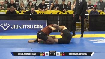 Daniel Guadalupe Ventura vs Michael Alexander Bravo 2025 World IBJJF Jiu-Jitsu No-Gi Championship