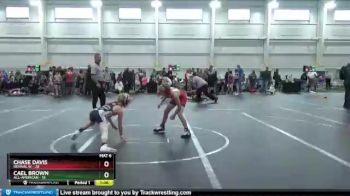 84 lbs Round 3 (8 Team) - Cael Brown, All-American vs Chase Davis, Revival W
