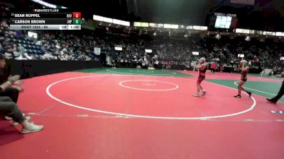 90 lbs Champ. Round 2 - Carson Brown, JRP1 vs Sean Roppel, BKV1