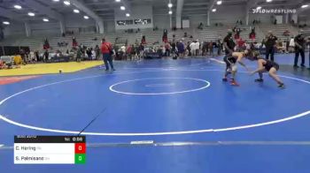 106 lbs Consolation - Colin Hering, OH vs Salvatore Palmisano, OH