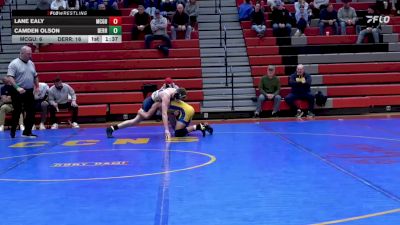 133 lbs Semifinal - Lane Ealy, McGuffey vs Camden Olson, Derry