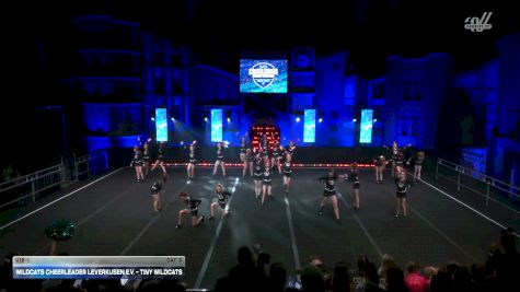 Wildcats Cheerleader Leverkusen e.V. - Tiny Wildcats [2026 U12-1 Day 3] 2026 ELITE Cheerleading Championship