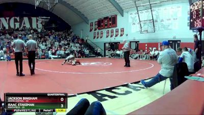 132 lbs Quarters & Wb (16 Team) - Jackson Bingham, Adams Central vs Isaac Stakeman, Northfield