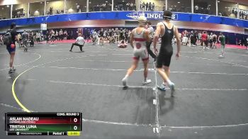 133 lbs Cons. Round 3 - Tristan Luna, Life University vs Aslan Nadeau, Cumberland (Tenn.)