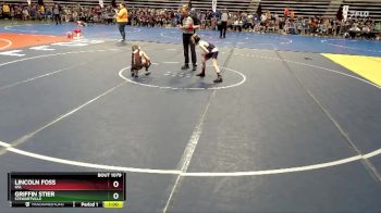 65 lbs Champ. Round 1 - Griffin Stier, Stewartville vs Lincoln Foss, GSL