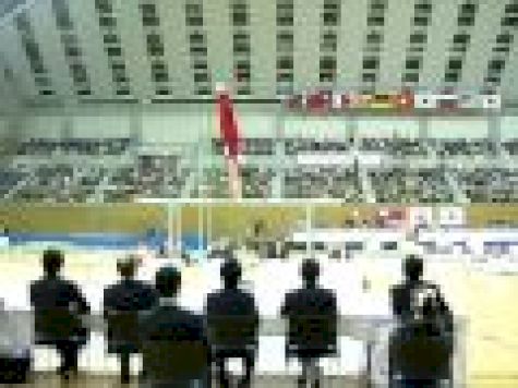 Joey Hagerty Parallel Bars Toyota Cup 2010.AVI