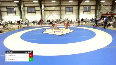 157 lbs Rr Rnd 1 - Dillon Carter, Rhode Island College vs Hiyuma Nagai, Springfield