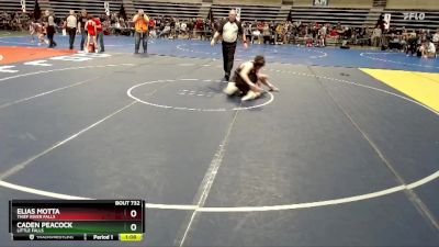 150 lbs Semifinal - Caden Peacock, Little Falls vs Elias Motta, Thief River Falls