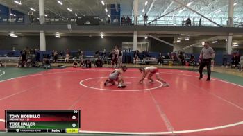 90 lbs Round 3 (6 Team) - Tony Biondillo, Brecksville vs Teige Haller, Wadsworth