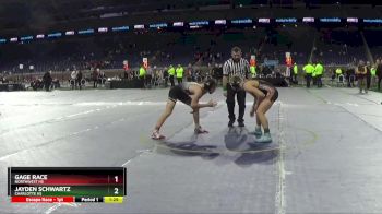 D2-138 lbs Semifinal - Jayden Schwartz, Charlotte HS vs Gage Race, Northwest HS