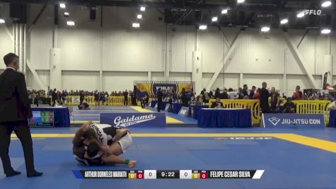 Felipe Cesar Silva vs Arthur Dorneles Mariath 2024 World IBJJF Jiu-Jitsu No-Gi Championship