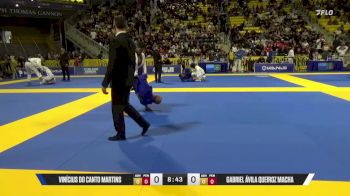 Gabriel Ávila vs Vinícius Martins | 2025 World Jiu-Jitsu IBJJF Championship