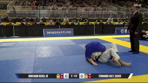Fernando Luiz F. Zulick vs John Raub Schell Jr 2025 Pan Jiu Jitsu IBJJF Championship