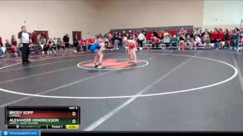 106 lbs Cons. Round 2 - Alexander Hendrickson, Sartell-Saint Stephen vs Brody Kopp, Luverne