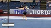 Adam Weshnevski - Floor, American Gold