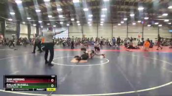 120 lbs Round 4 (6 Team) - Dallas Russell, Minion Black vs Sam Herring, PA Gold