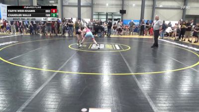 91 lbs Quarterfinal - Faryn Weir-Khamis, Brockway vs Chandler Walls, Fannettsburg
