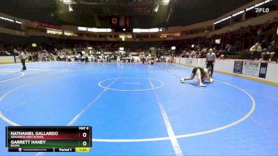 165 lbs Champ. Round 1 - Nathaniel Gallardo, Sahuarita High School vs Garrett Haney, Basha