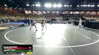 113 lbs Quarterfinal - Elijah Hattaway, Camden County vs Gabriel Easey, Ola