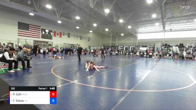 120 lbs Quarterfinal - Teiliana Taboa, TW Wrestling vs Presley Call, Bear River Wrestling Club