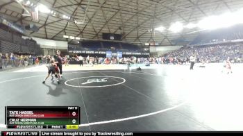 71 lbs Cons. Round 4 - Cruz Herman, Mat Demon Wrestling Club vs Tate Hadsel, Mat Demon Wrestling Club