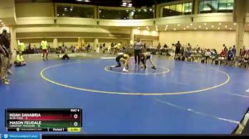 126 lbs Round 7 (10 Team) - Noah Sanabria, Blue Steel vs Mason Feudale, Constant Pressure