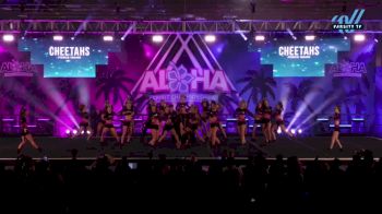 Fierce Idaho - Cheetahs [2025 L4 Senior Coed Day 1] 2025 Aloha Grand Nationals