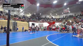 132 lbs Cons. Round 4 - Mark Hand, Bloomington South vs Trevor Humburg, Westfield High School