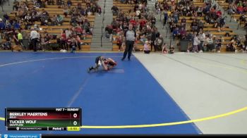 80 lbs Semifinal - Tucker Wolf, Grapplers vs Berkley Maertens, BOLD