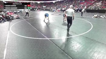 D3-190 lbs 5th Place Match - Isaiah Carton, Shiocton vs Brock Naessen, Shell Lake