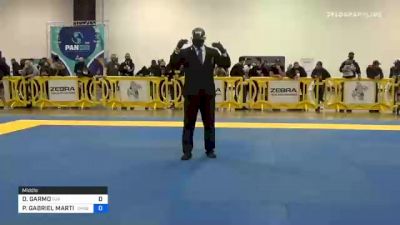 DAVID GARMO vs PAULO GABRIEL MARTINS DA COSTA 2020 IBJJF Pan No-Gi Championship