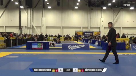 Adam Leddy vs Marcos Carrozzino 2024 World IBJJF Jiu-Jitsu No-Gi Championship