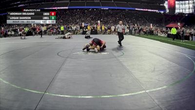 D2-144 lbs Quarterfinal - Adoniah Delgado, Linden HS vs Logan Dawson, Lowell HS