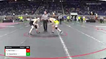 D1-140 lbs Semifinal - Gabe Cappellano, Hartland vs Evan Herriman, Davison